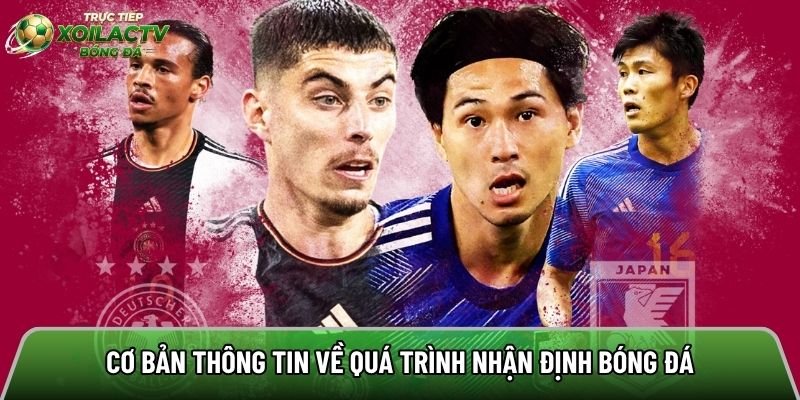 Cơ bản thông tin về quá trình nhận định bóng đá