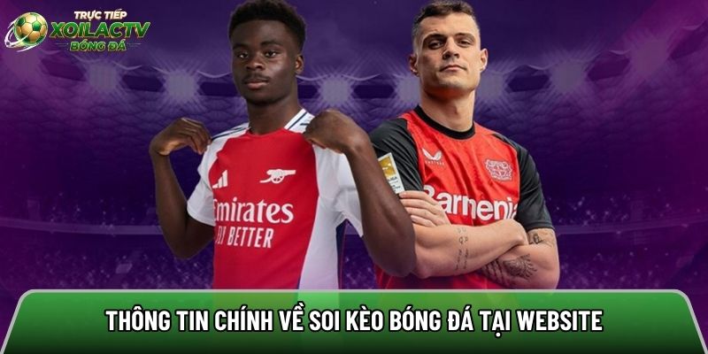Thông tin chính về soi kèo bóng đá tại website